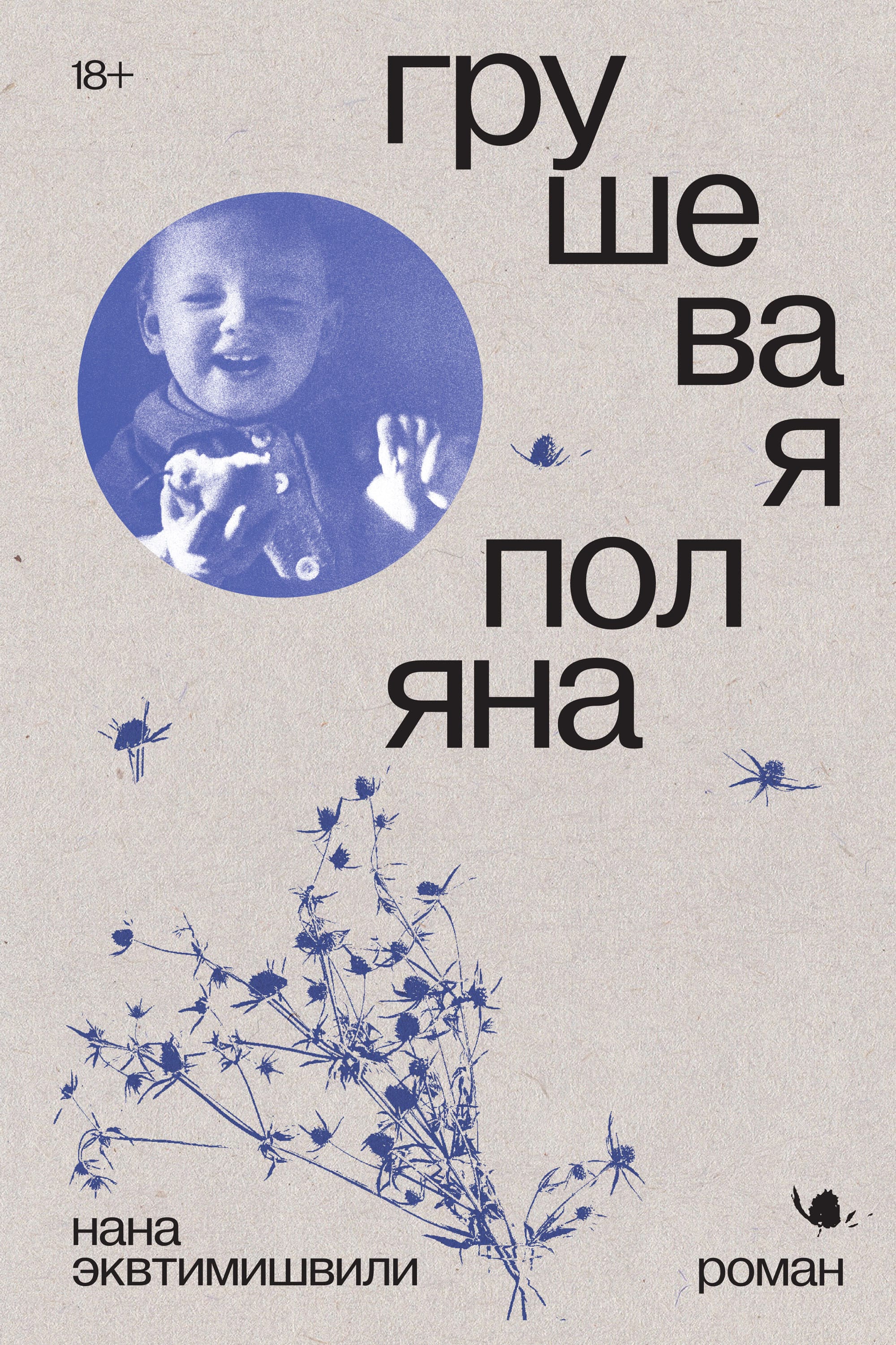 Обложка: Грушевая поляна 1