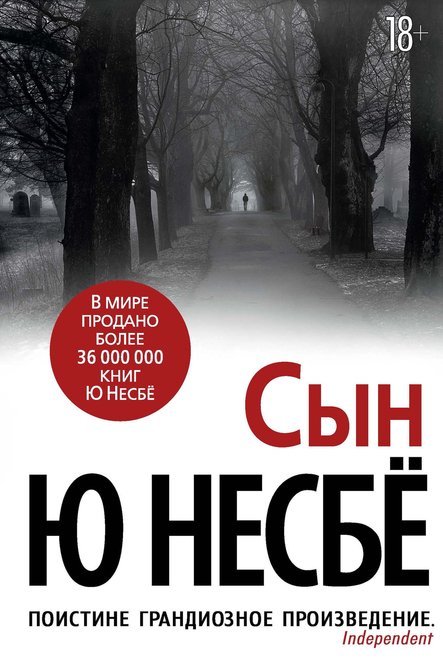 Обложка: Сын