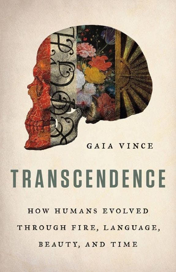 Обложка: Transcendence