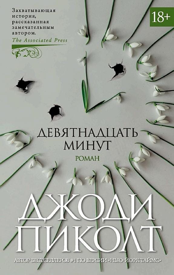 Обложка: Девятнадцать минут