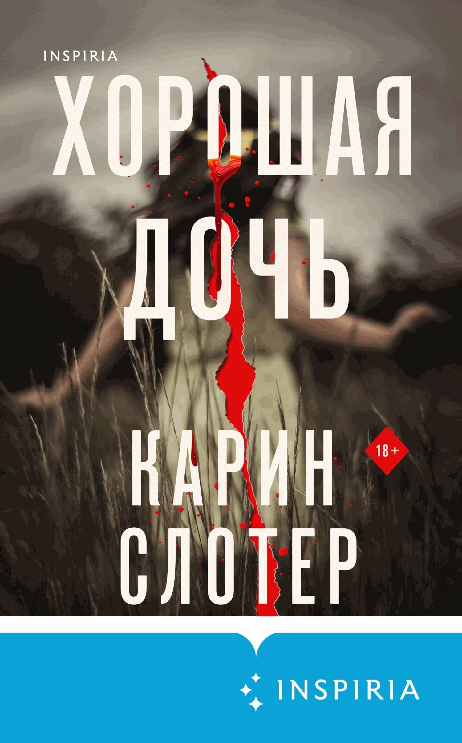 Обложка: Хорошая дочь