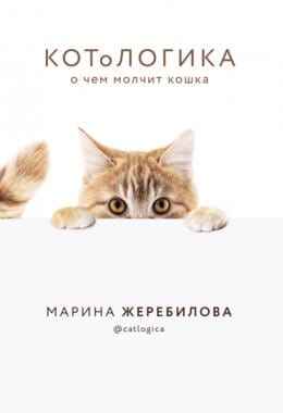 Обложка: КотоЛогика