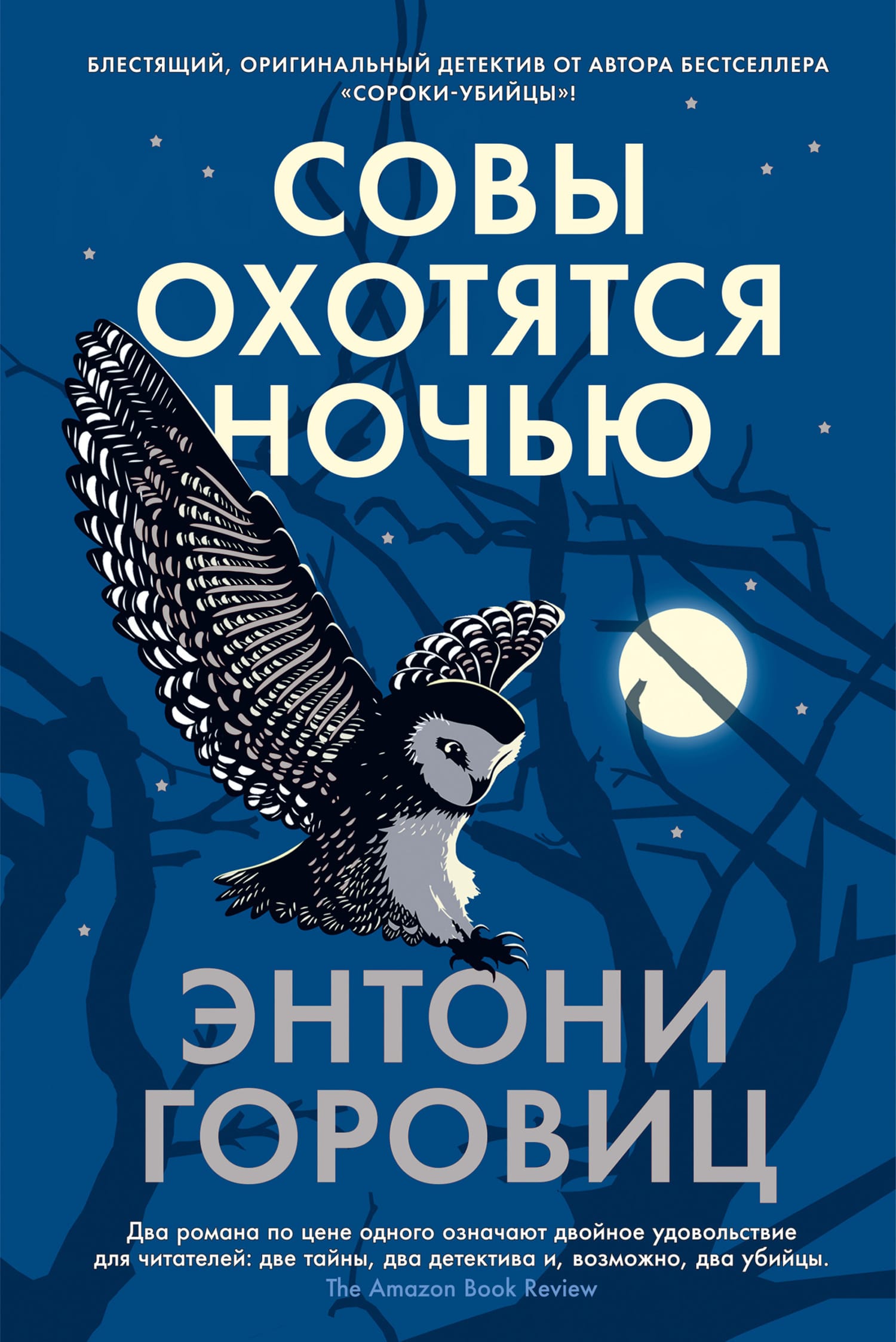 Обложка: Совы охотятся ночью