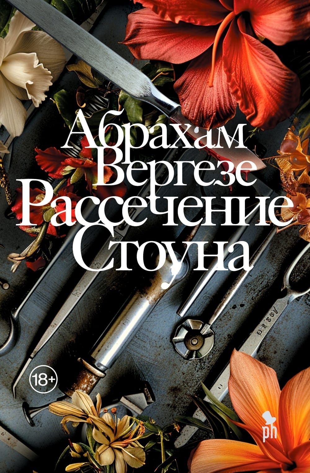 Обложка: Рассечение стоуна