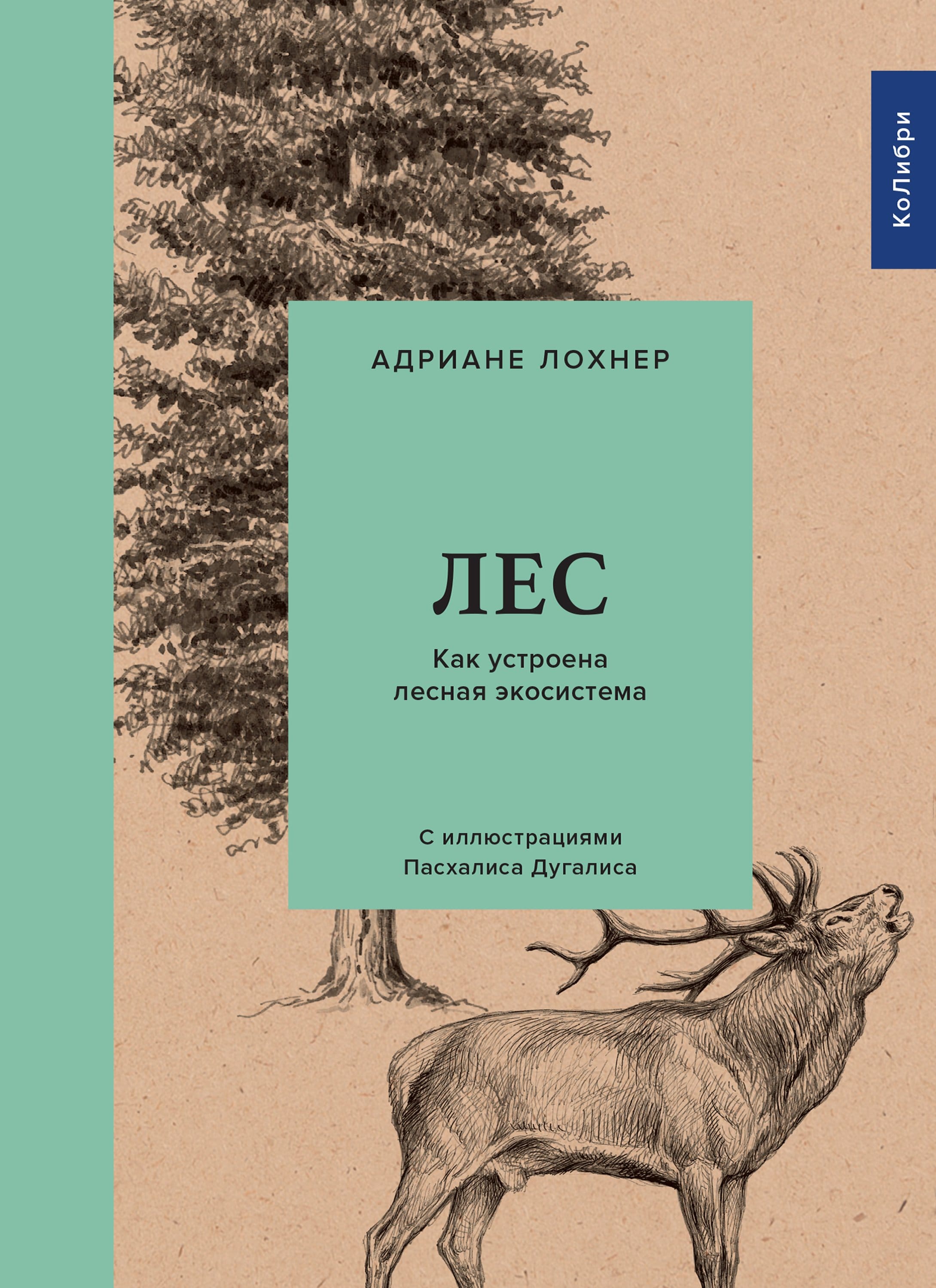 Обложка: Лес