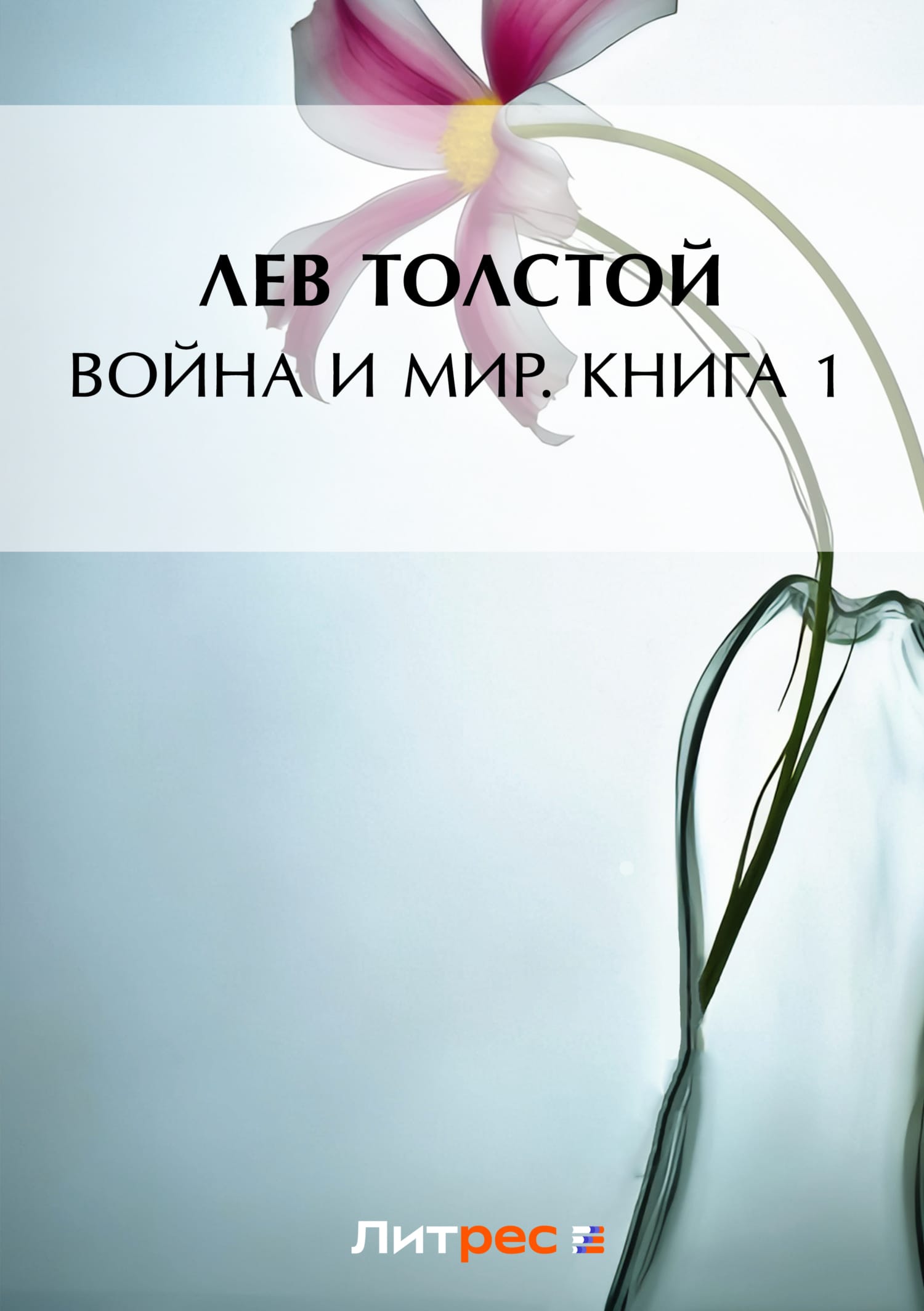 Обложка: Война и мир. Книга 1