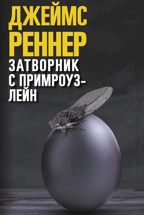 Обложка: Затворник с примроуз-лейн